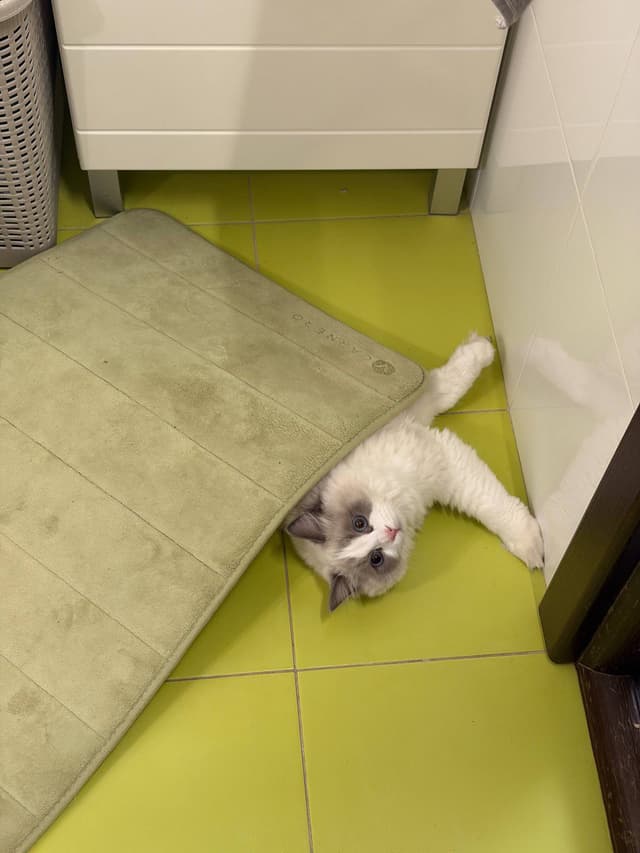 Селин в ванной на полу