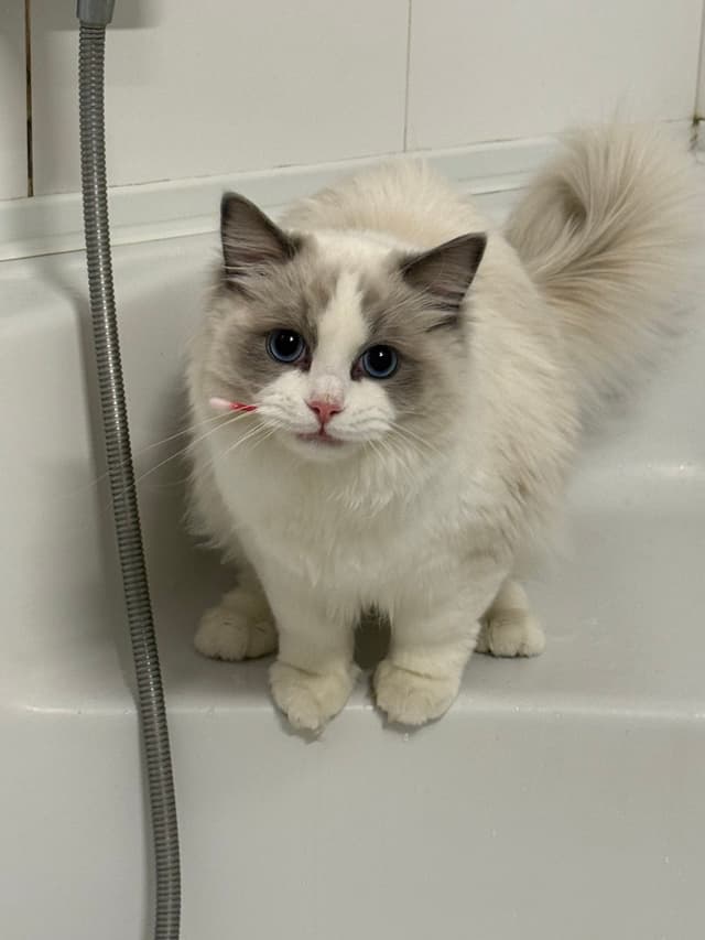 Селин в ванной